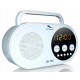 RADIO DIGITAL RED Y PILAS